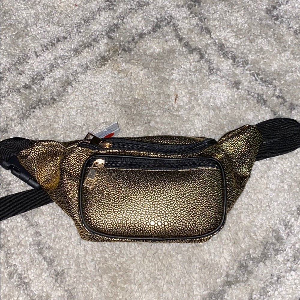 Fanny pack